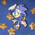 2" Captain Sonic TMoStH [Enamel Pin]