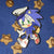 2" Captain Sonic TMoStH [Enamel Pin]